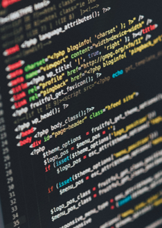 Website Design
